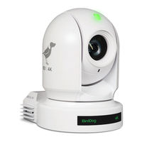 birddog Eyes P400 User Manual