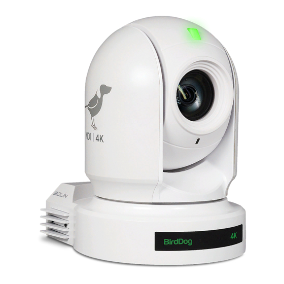 birddog Eyes P400 User Manual