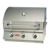 Bull BG-6900x Assembly & Operating Instructions