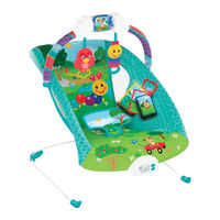 Kids II Baby Einstein Caterpillar's Day at the Park Manual