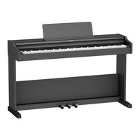Roland RP107 Owner's Manual