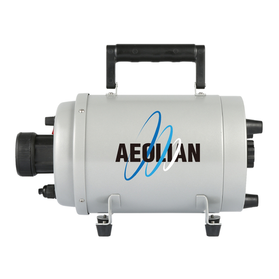 aeolus AEOLIAN TD-901GT Owner's Manual