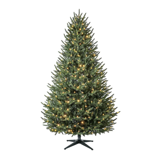 Home Accents Holiday TG76P3F28D03 Manual