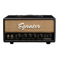 Egnater TWEAKER HEAD Owner's Manual