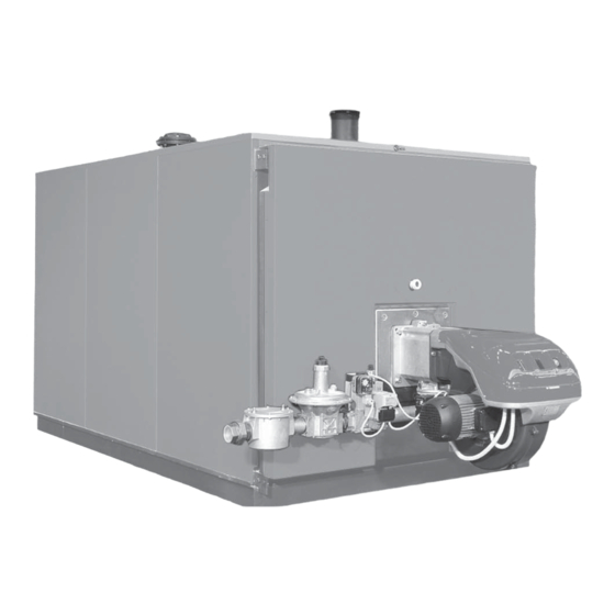 Riello RTQ 715 Installation, Operation, Maintenance And Owner's Manual