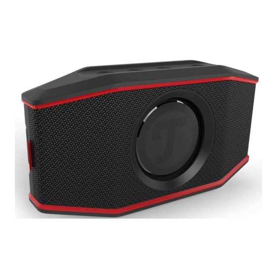 Teufel ROCKSTER GO User Manual