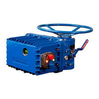 Limitorque L120-20 Installation & Maintenance