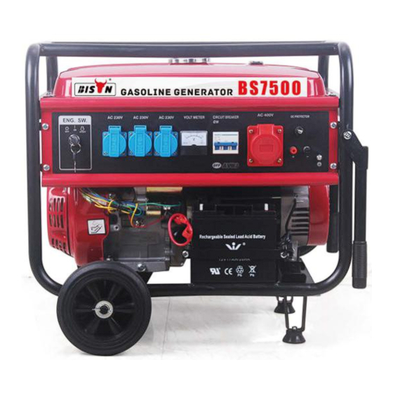 Bison BS7500 Manual