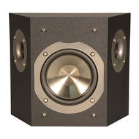 Phase Technology V-10 Brochure & Specs