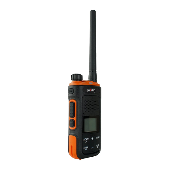 PO Fung Electronic P11UV Manual