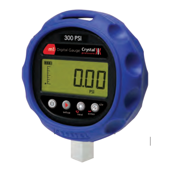 Ametek Crystal Pressure M1 Quick Reference