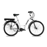 Ancheer E-bike User Manual