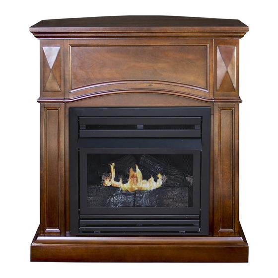 pleasant hearth VFF-PH20D User Manual