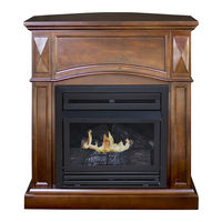 Pleasant Hearth VFF-PH20D User Manual