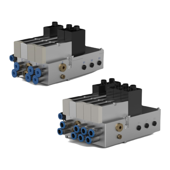 RSP P0010A Small Valve Unit Manuals