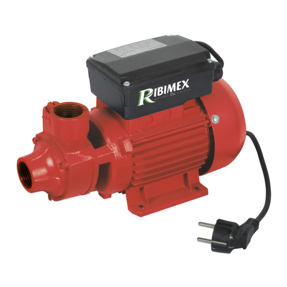 Ribimex PRPC115 Diesel Transfer Pump Manuals
