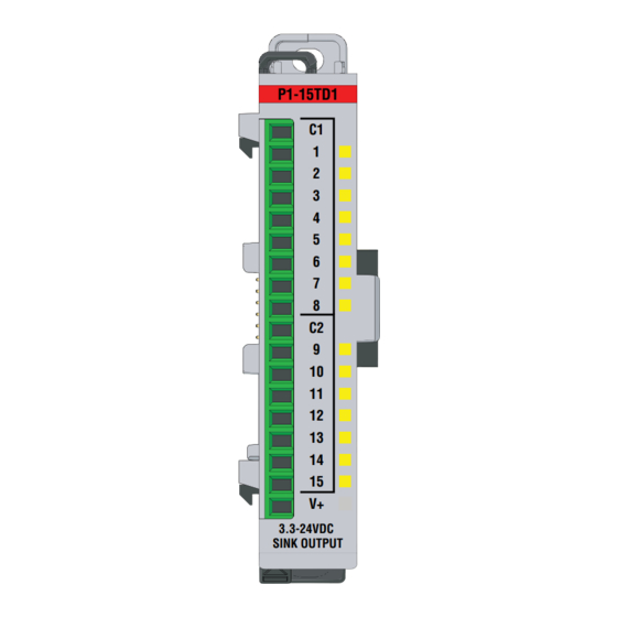 Automationdirect.com Productivity 1000 P1-15TD1 Manual