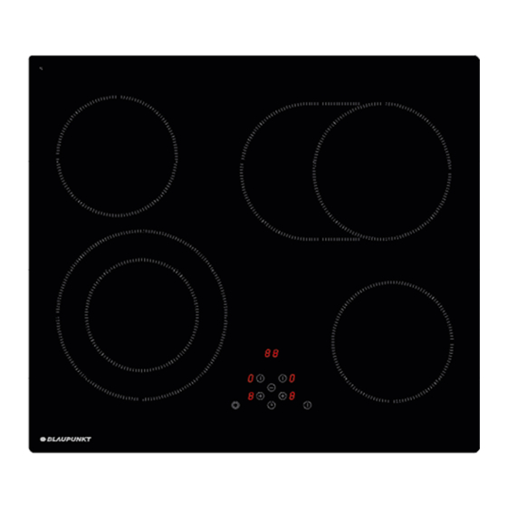 Blaupunkt 5RG64361 Instruction Manual