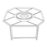Agio 99000 Assembly Instructions Manual