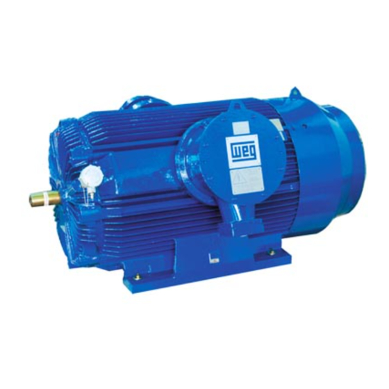 WEG BFGC8 400 Instruction Manual