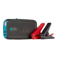 ring RPPL300 Quick Start Manual