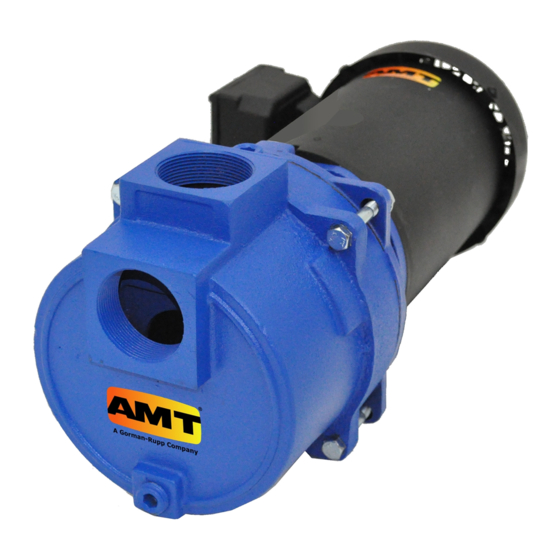 GORMAN-RUPP PUMPS AMT 316A-95 Manual