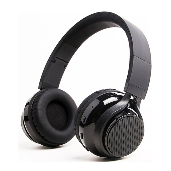 Soundbot SB250 User Manual