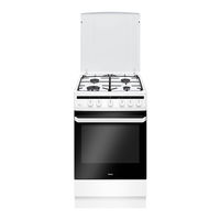 Amica 6017GG5.33HZpMsFGQXx Instruction Manual