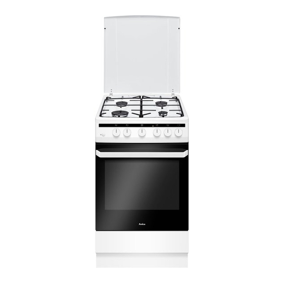 Amica 6017GG5.33HZpMsFGQW Instruction Manual