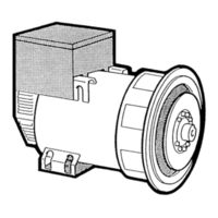 Mecc Alte ECO-ECP 2 Operating And Maintenance Instructions Manual