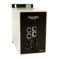 Delta Tau Power PMAC EtherLite Hardware Reference Manual