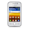 Cell Phone Samsung GT-S5369 User Manual