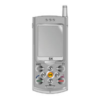 SK SK-6100 User Manual