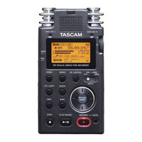 Tascam DR100 MkII Setup Manual