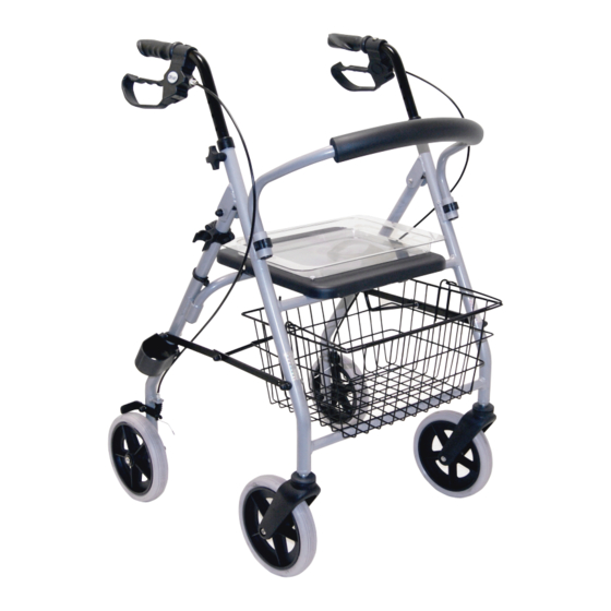 Drive DeVilbiss Healthcare GIGO Manuals
