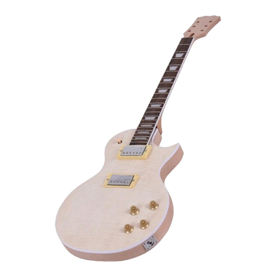 Artist Guitars LP DIY KIT Manual