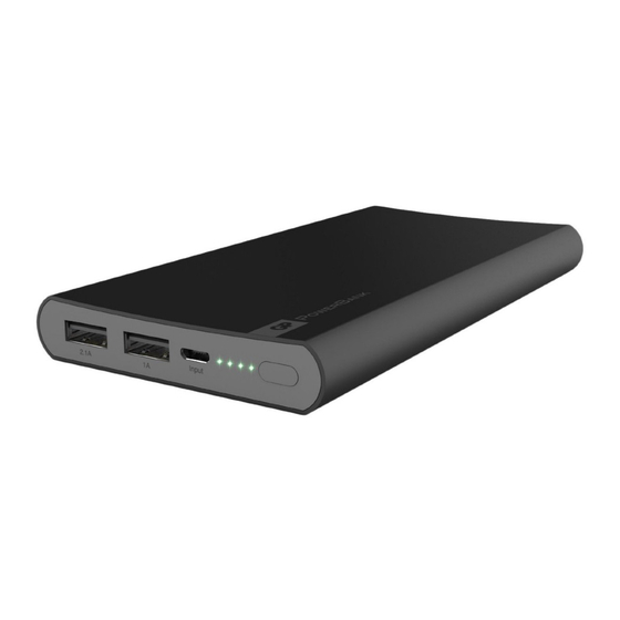 GP PowerBank FP10M Instruction Manual