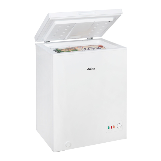 Amica GT 311 100 W Operating Instructions Manual
