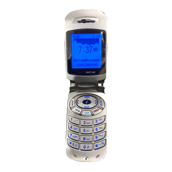 Samsung SCH-A310 Series Flip Phone Manuals