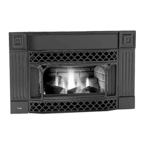 Enviro Accent 20 BV Manuals