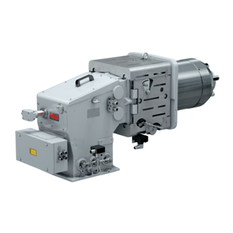 Riello DB 3 LSE FGR Installation, Use And Maintenance Instructions