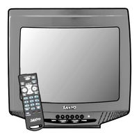 Sanyo AVM-1901S Owner's Manual