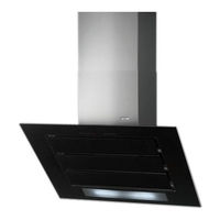 ROBLIN VIZIO VERRE MURALE Instructions For Installation Manual