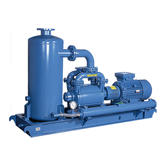 User Manuals: Robuschi KRVS Ring Vacuum Pumps