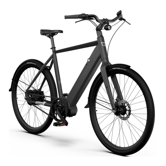 Lekker Bikes E-AMSTERDAM 2ND GEN Manual