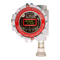 RKI Instruments 65-2646RK-05-04 Operator's Manual