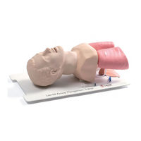 Laerdal Airway Management Trainer Directions For Use Manual
