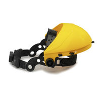 earline 60700 User Information