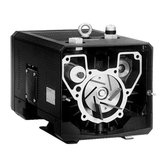 Rietschle Pico VLT Series Instruction And Service Manual