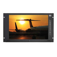Cyber View RP-HF617 User Manual